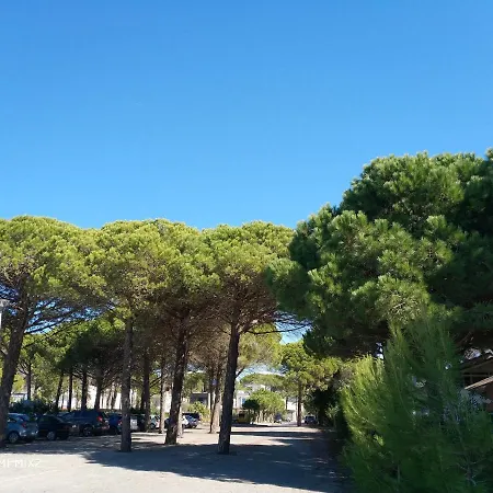 Meris Villa *