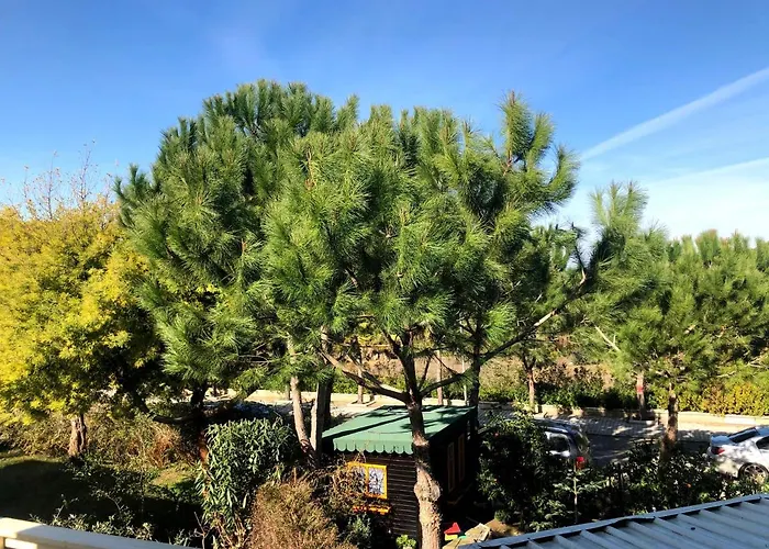 Meris * ドゥラス